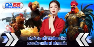 Đá gà C1