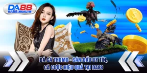 Đá gà Thomo