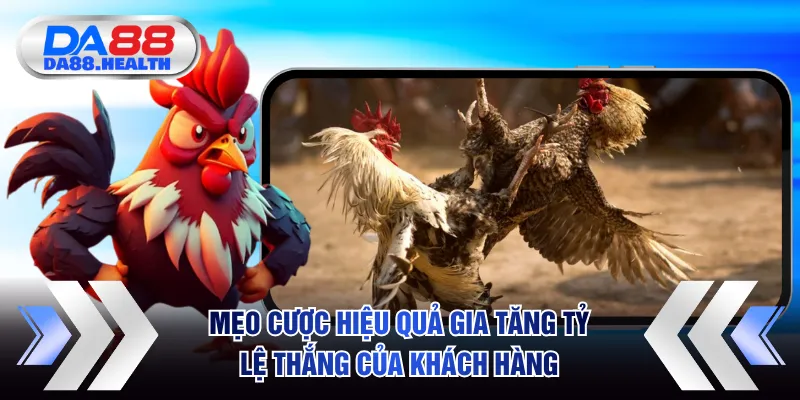 Mẹo cược hiệu quả gia tăng tỷ lệ thắng của khách hàng