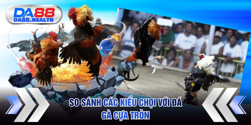 So sánh các kiểu chọi với đá gà cựa tròn