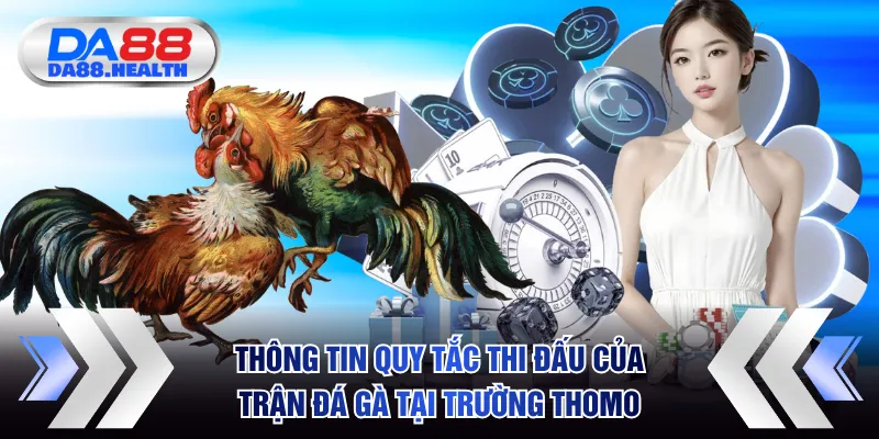 Thông tin quy tắc thi đấu của trận đá gà tại trường Thomo